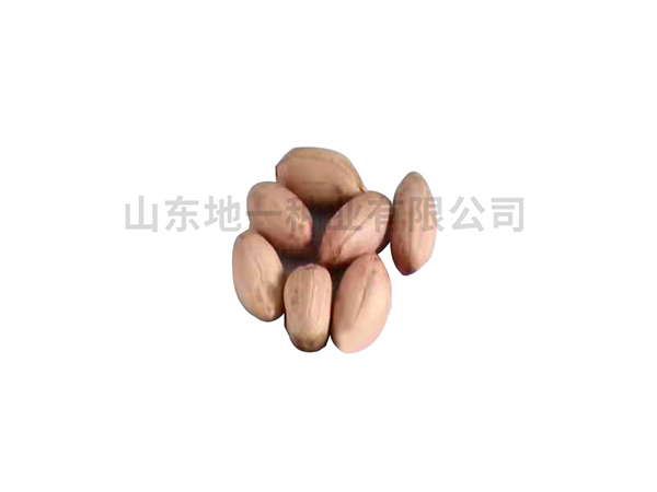 濰花25號(hào)花生種，有哪些栽培技巧